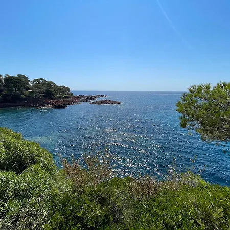 Hotel en barco Yacht Galarne *